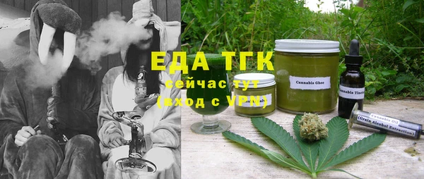 ГАЛЛЮЦИНОГЕННЫЕ ГРИБЫ Богданович