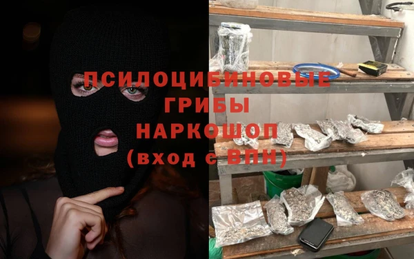 ГАЛЛЮЦИНОГЕННЫЕ ГРИБЫ Богданович