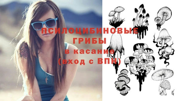 гидропоника Белокуриха