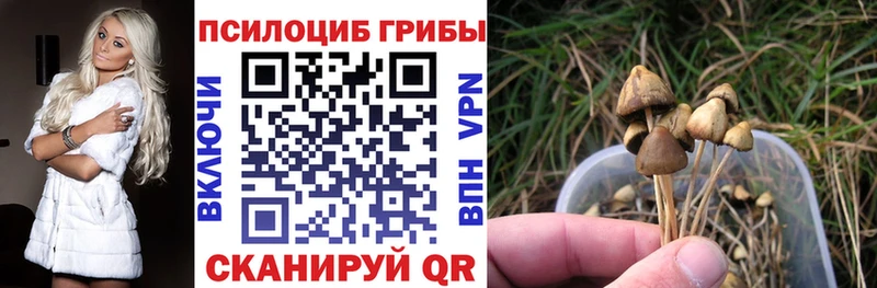 Псилоцибиновые грибы мицелий  Беломорск 